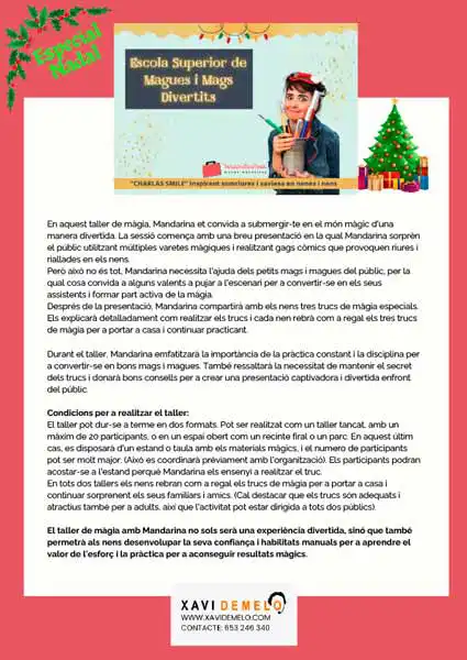 Escola superior de magues i mags